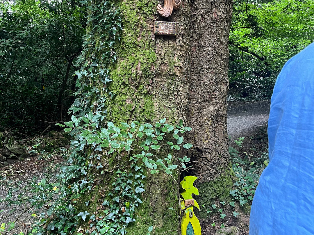 Slieve Gullion Forest Park-纽里必去景点