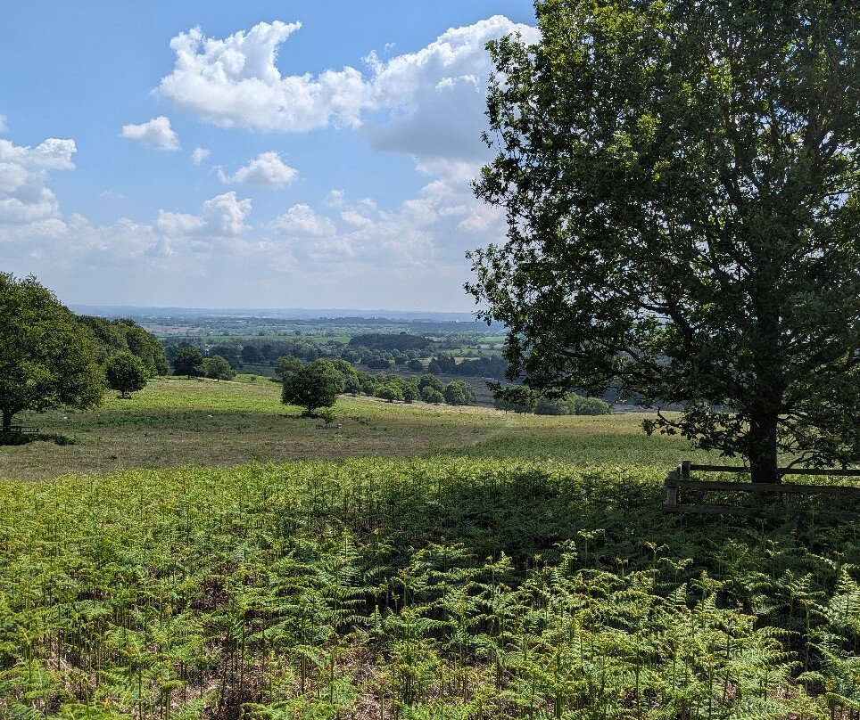 布拉德盖特公园-Newtown Linford必去景点