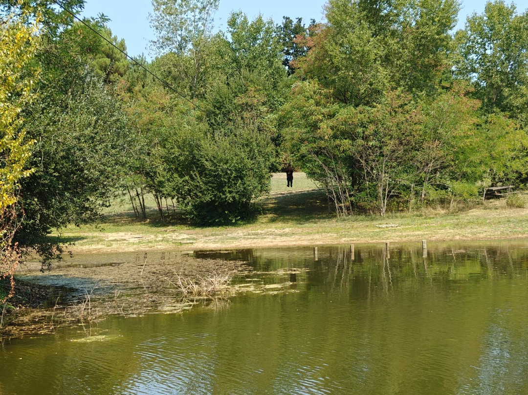 Parcours aventure 49-Brion必去景点