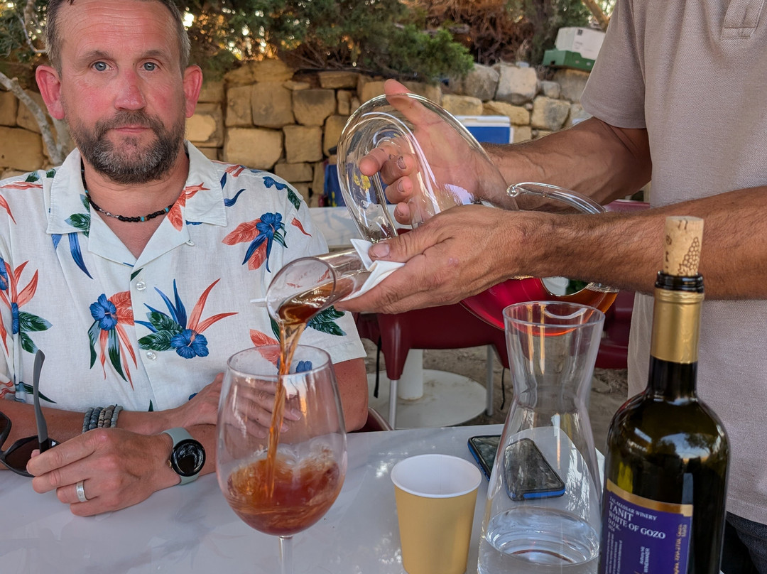 Tal-Massar Winery-Gharb必去景点