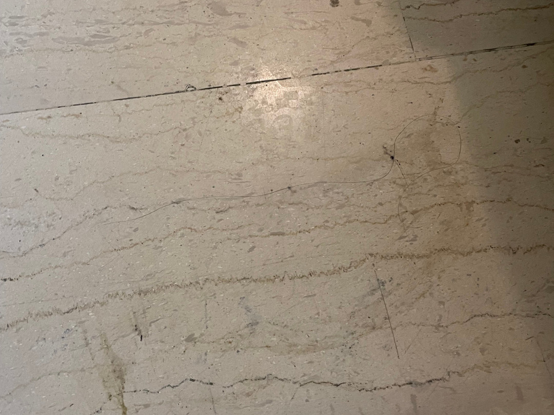 Logan's Beach Hotel主图