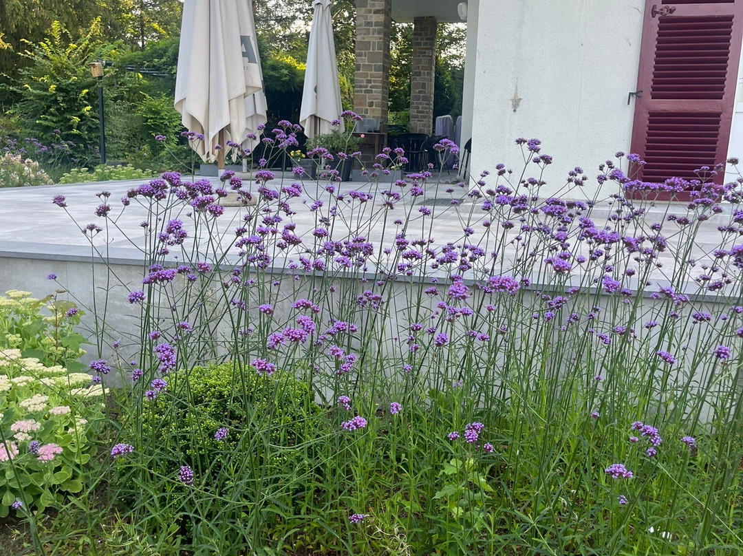 海德帕尔酒店主图