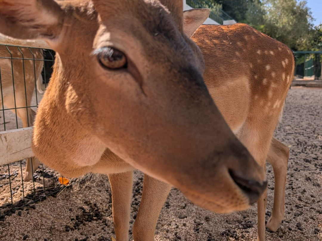Ranch Aryen-Sutorina必去景点