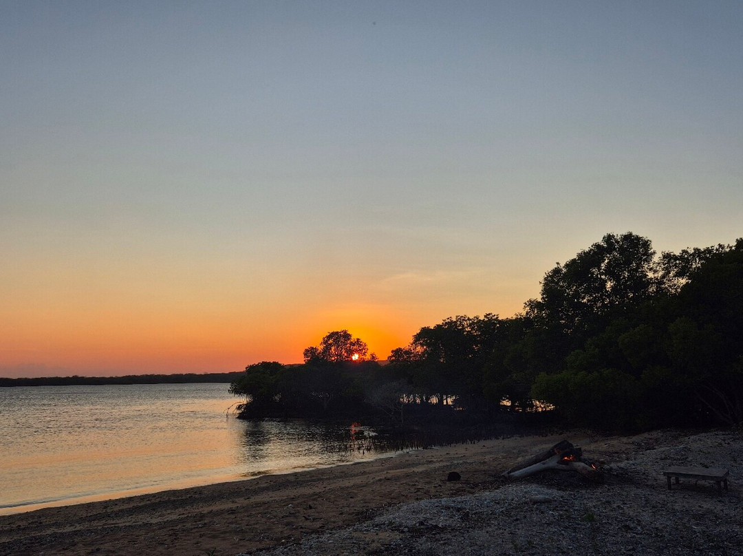 Menjangan Tour Snorkeling & Diving-Pejarakan必去景点