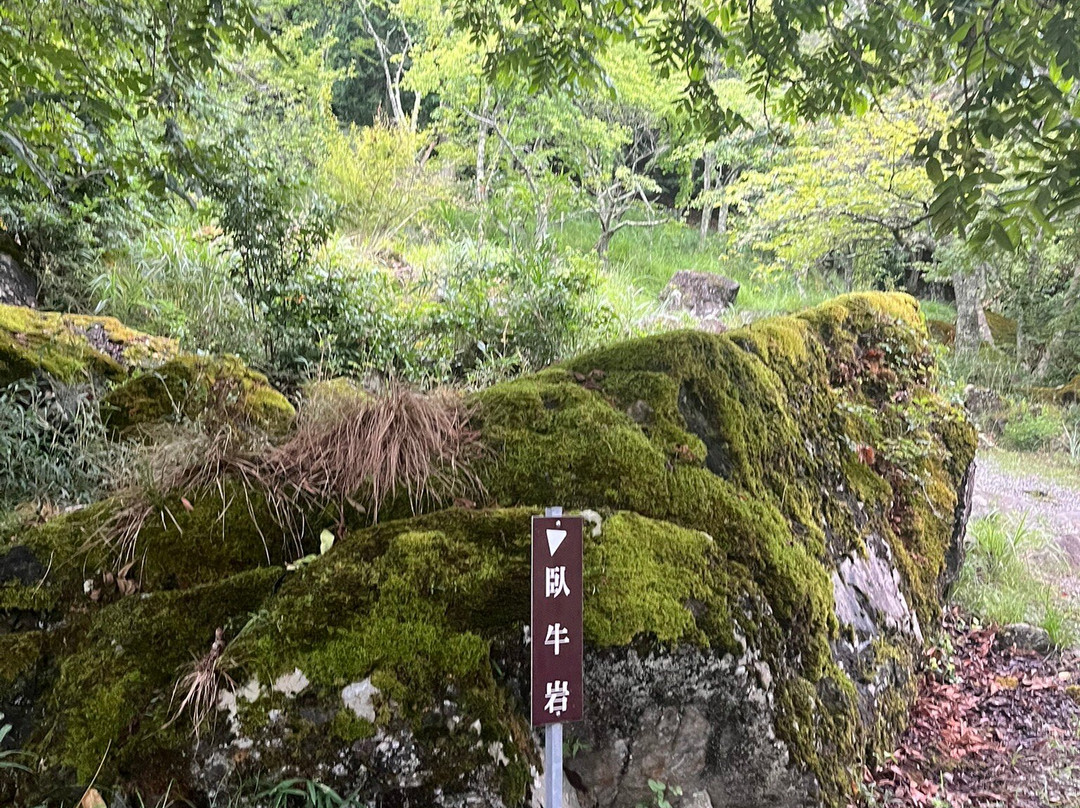 Ritsuun Valley-朝来市必去景点