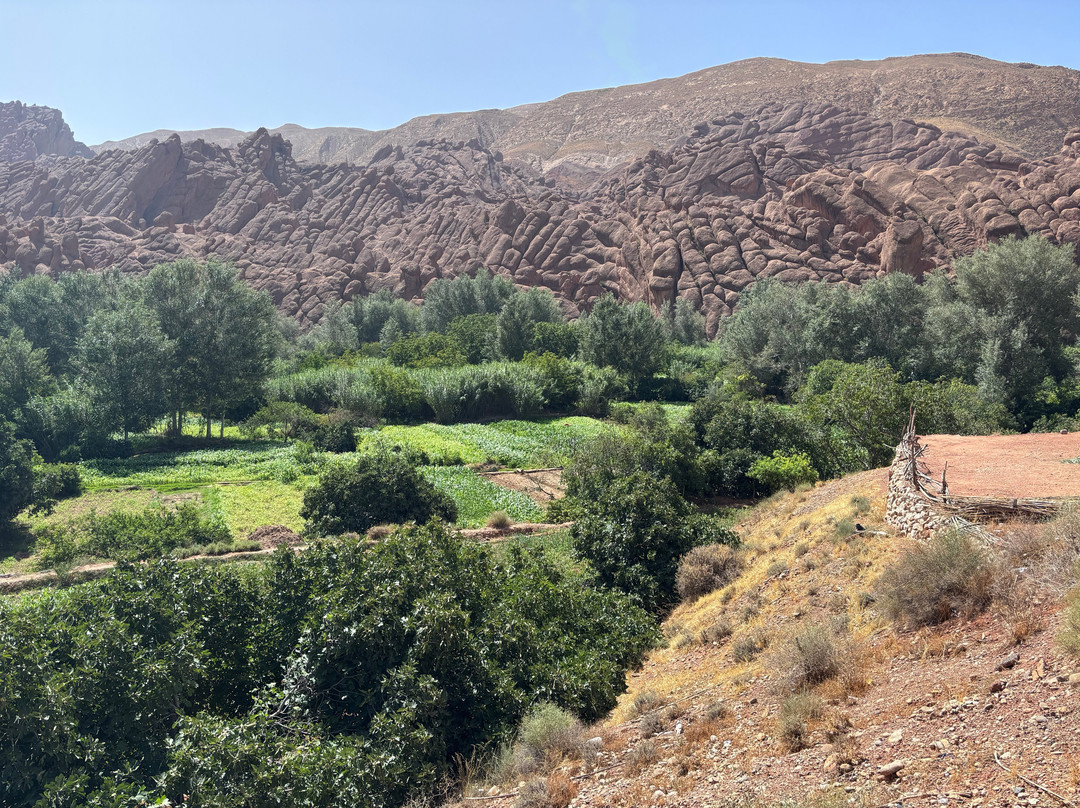 Desierto Sahara Trips-马拉喀什必去景点