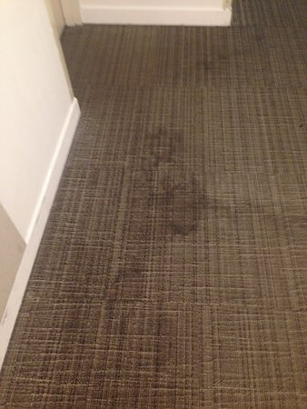 新加坡基督青年会国际宾馆主图