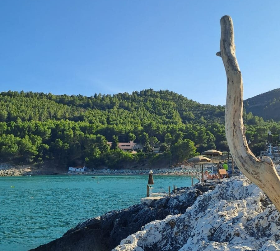 Spiaggia Pugnochiuso-维耶斯泰必去景点