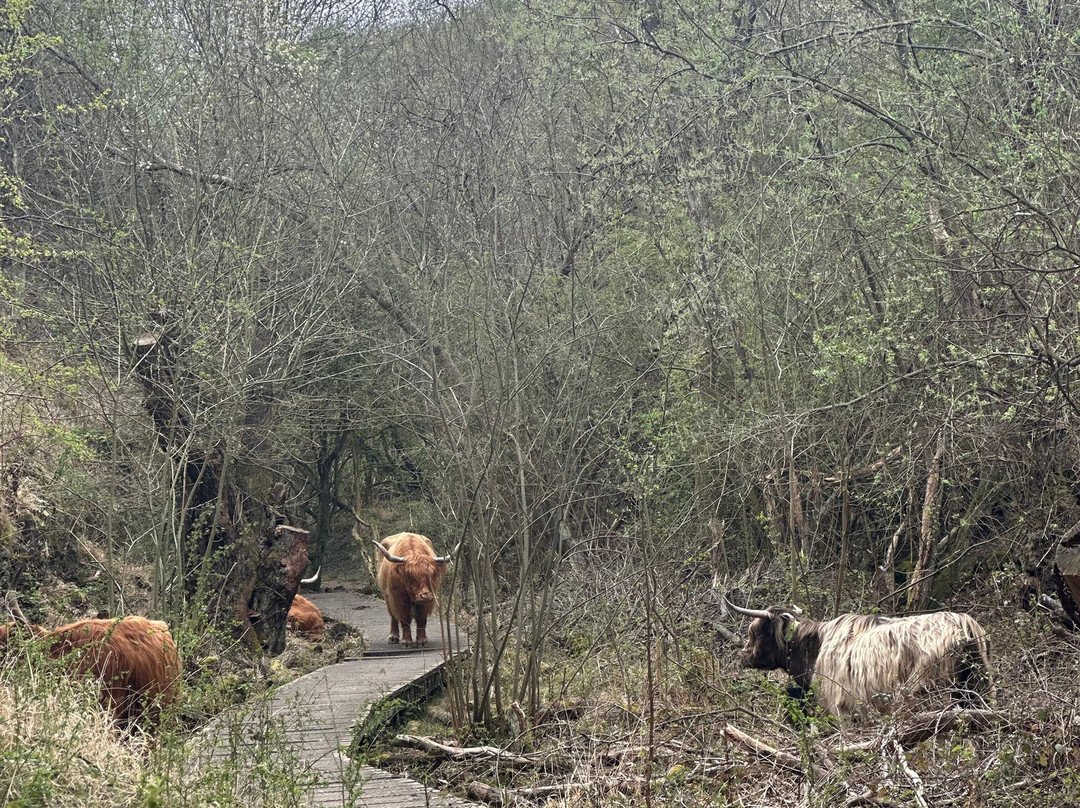 Twywell Hills and Dales-凯特林必去景点
