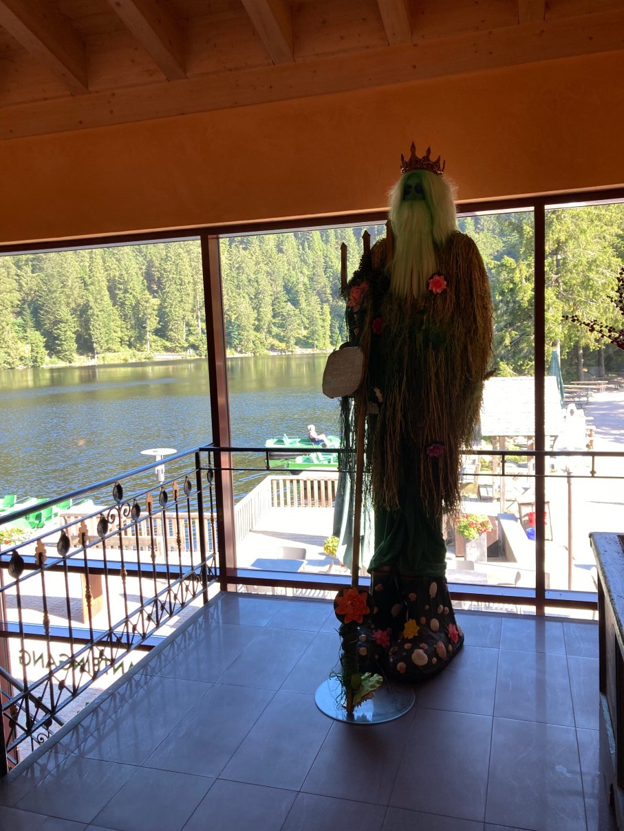 蒙梅尔湖山区酒店-浴室