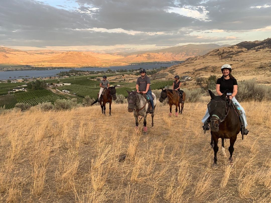 Sun Hills Riding Centre-奥索尤斯必去景点