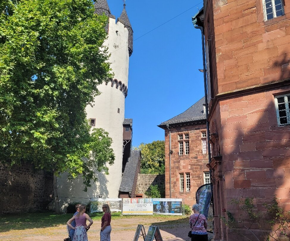 Vor- und Frühgeschichtsmuseum Schloss Steinheim-哈瑙必去景点