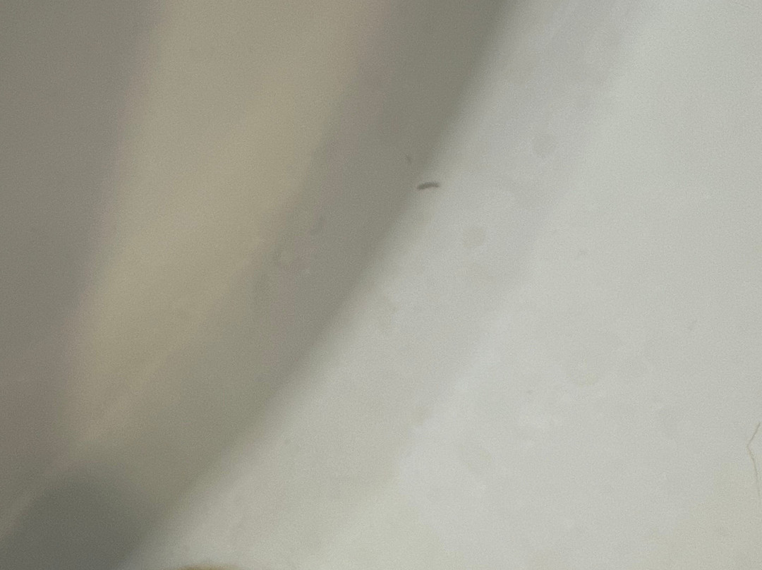 Super 8 by Wyndham Bath Hammondsport Area主图