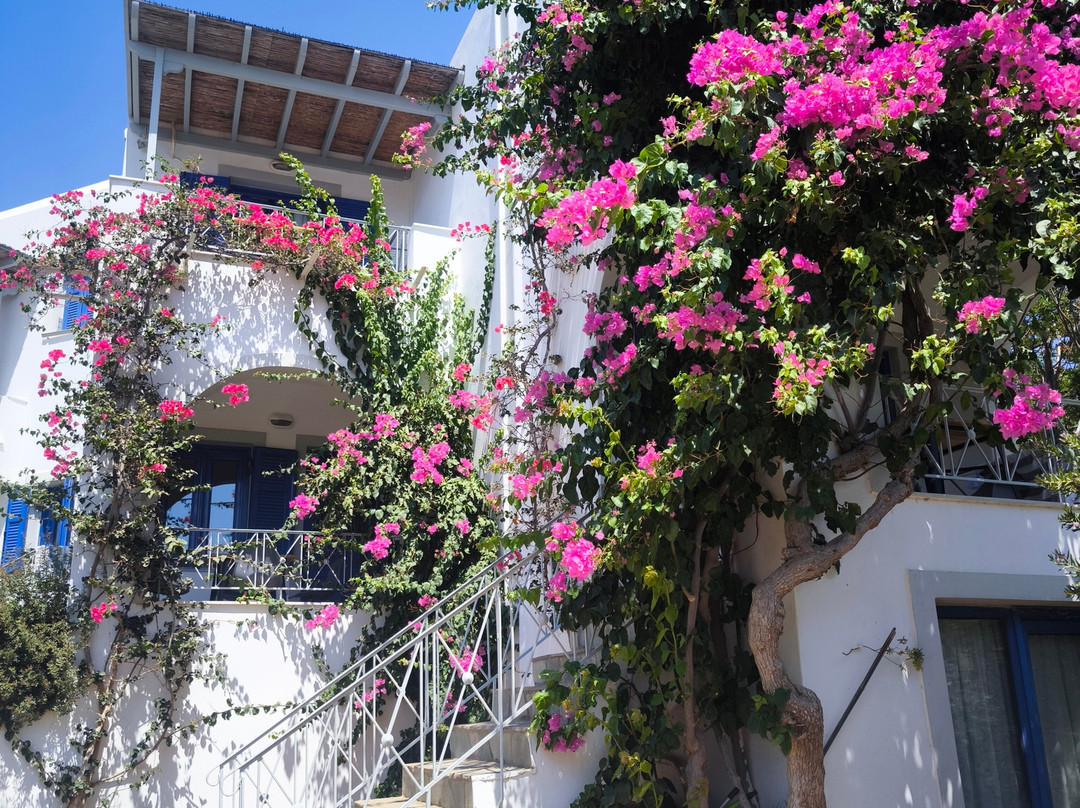 Allegria Family Hotel主图