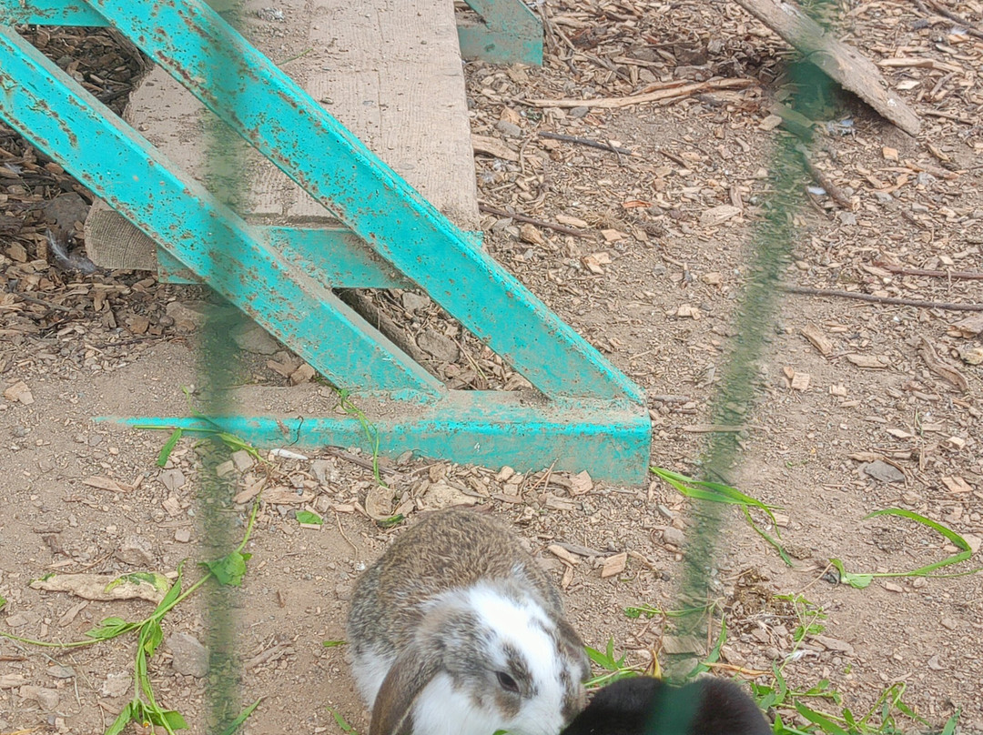 Botanical Garden-Institute-海参崴必去景点