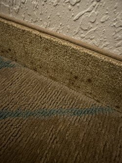 Homewood Suites by Hilton Tampa-Port Richey主图