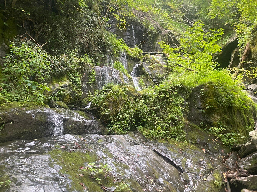 Grotto Falls Trail-大雾山国家公园必去景点