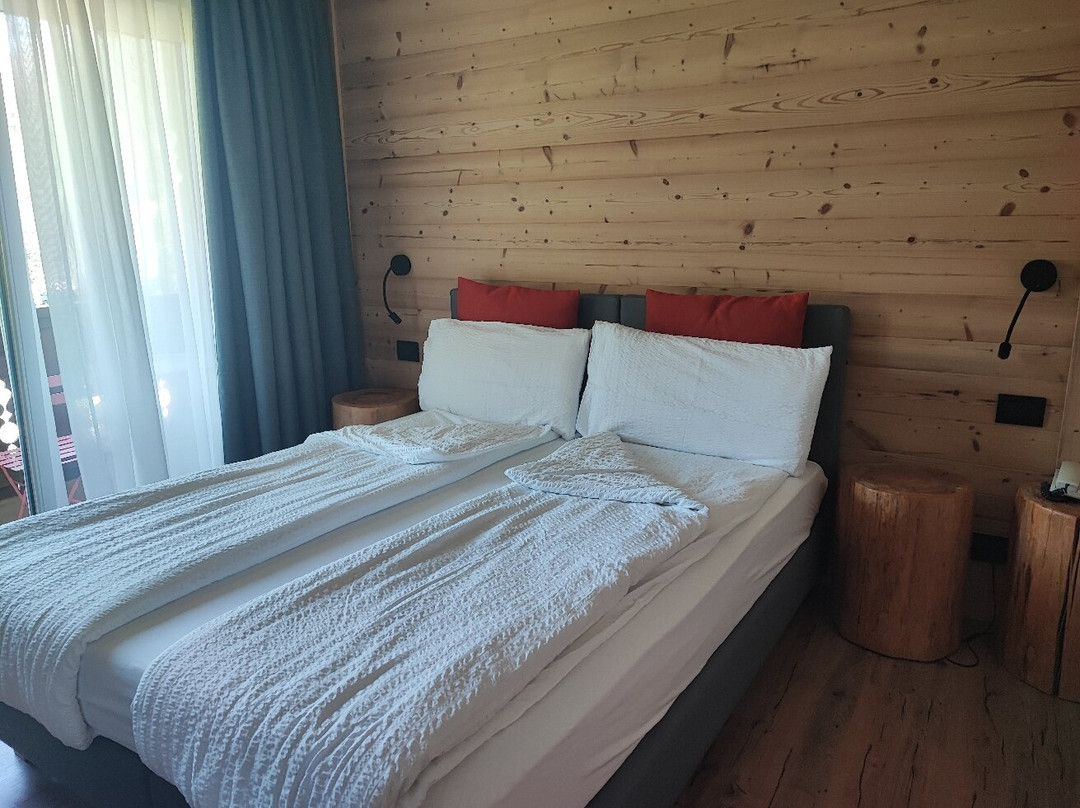 Hotel Sassleng主图