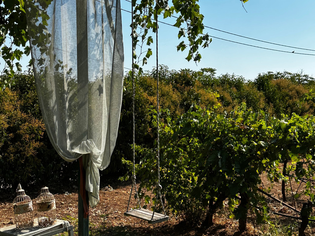 Ktima Palivou-Nemea必去景点