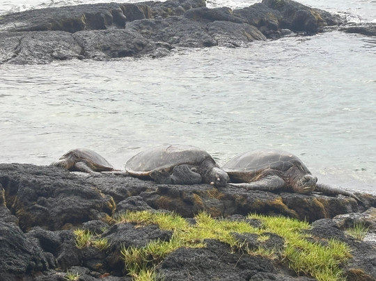 Akamai Adventure Tours & Travel, Llc-火山必去景点