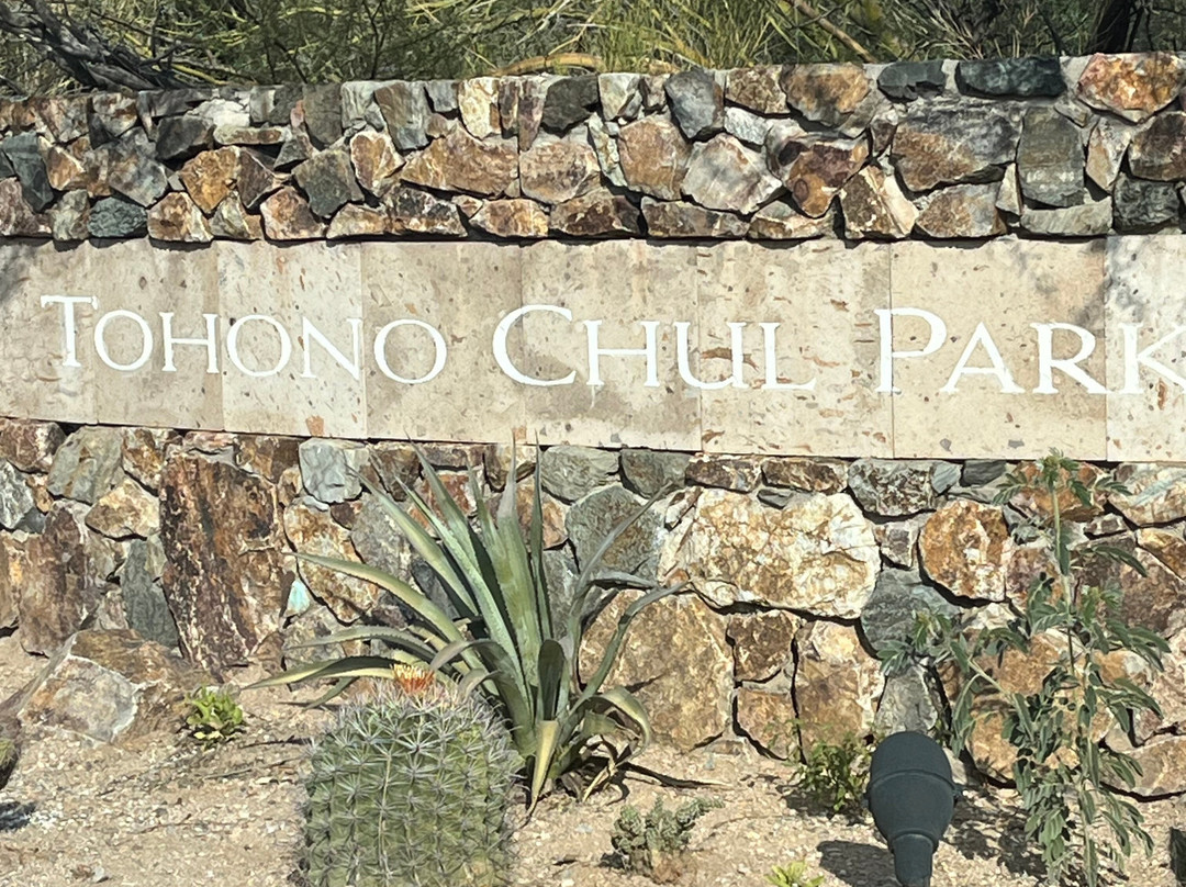 Tohono Chul-图森必去景点