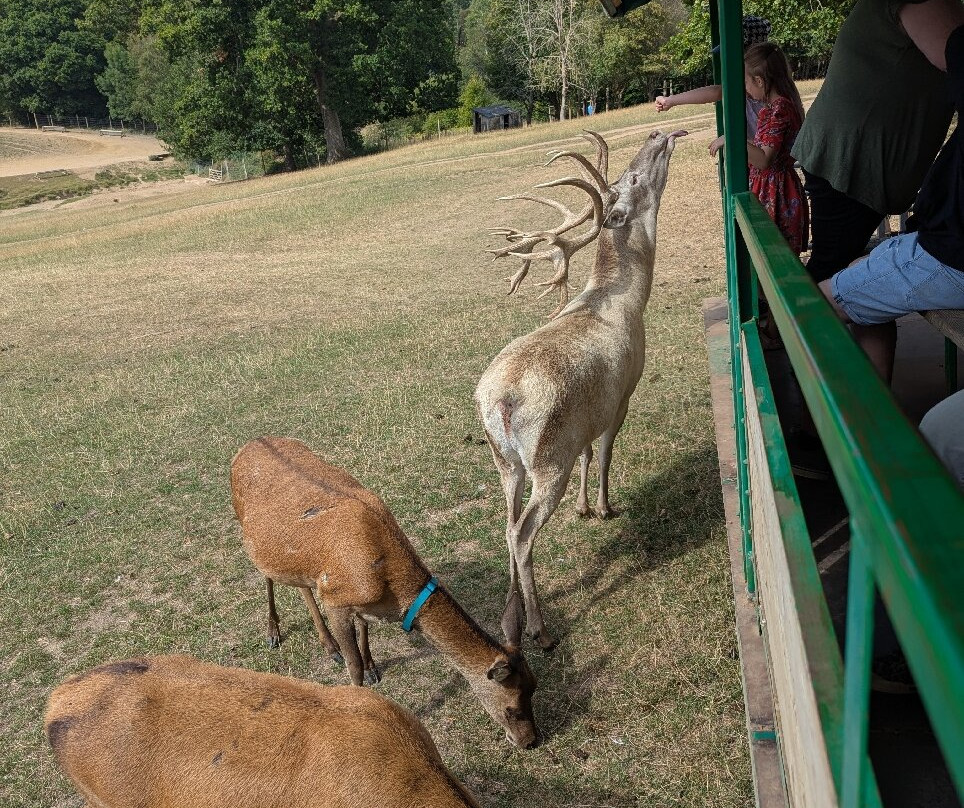 Bucklebury Farm Park-Bucklebury必去景点