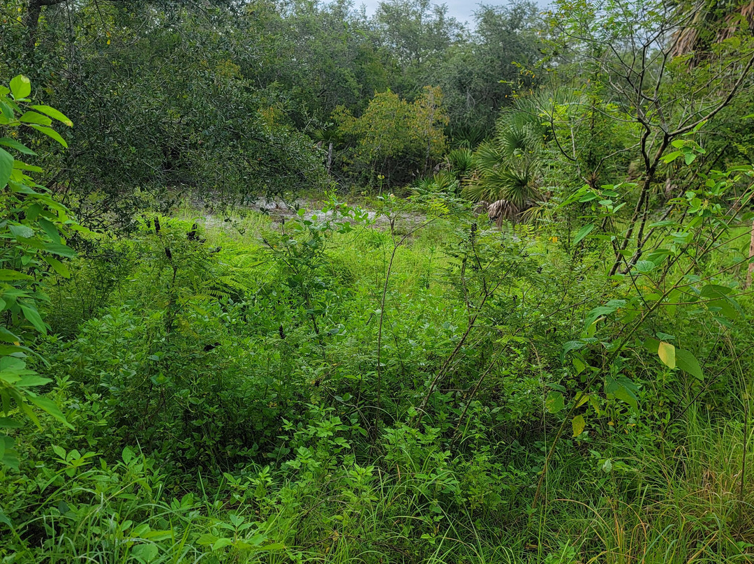 Tippecanoe Environmental Park-夏洛特港必去景点