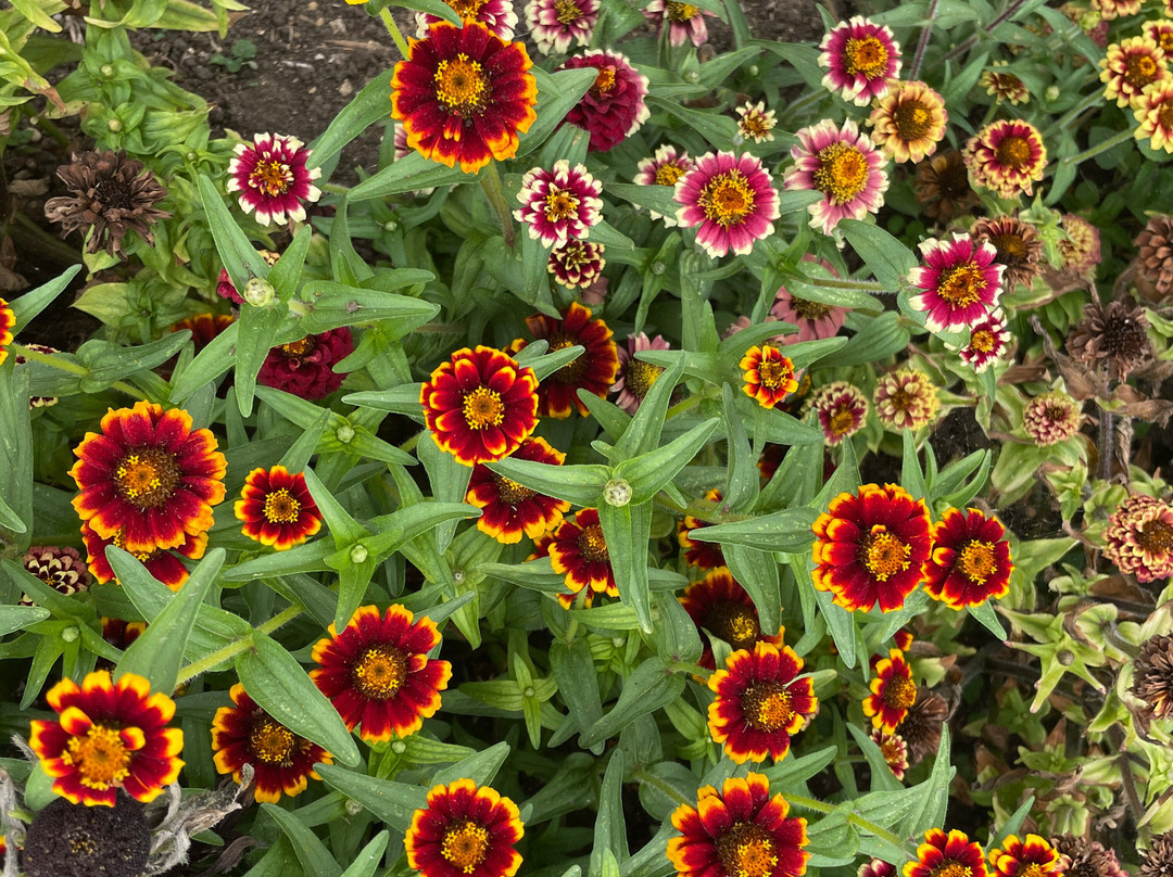 Aston Pottery-Aston必去景点