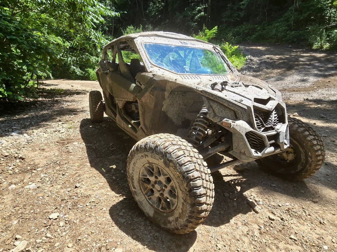 Mountaintop Adventures-Gilbert必去景点