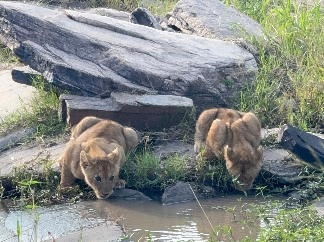 Brighte Maasai Adventures-Mara North Conservancy必去景点