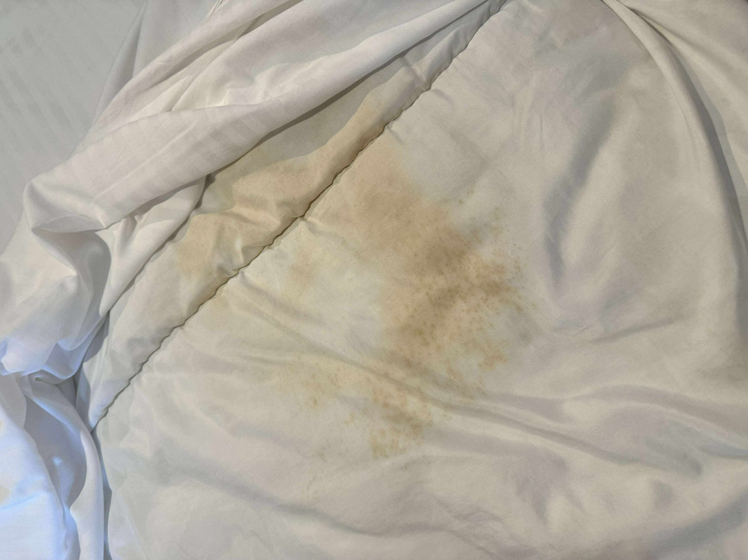 Clifton Hotel Newcastle主图