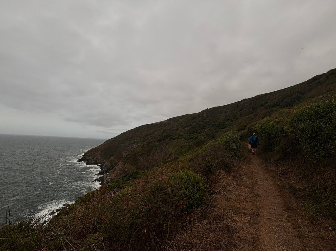 South West Coast Path-Polperro必去景点