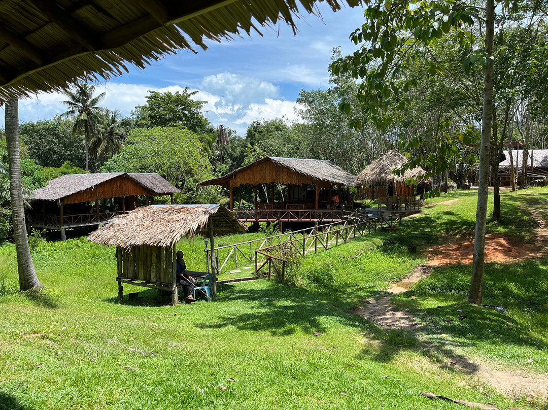 Koh Yao Elephant Care & House-Phru Nai必去景点