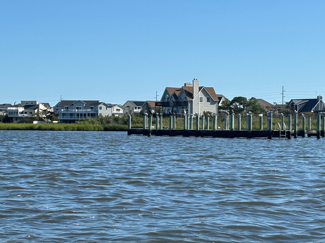 Coastal Kayak-Fenwick Island必去景点