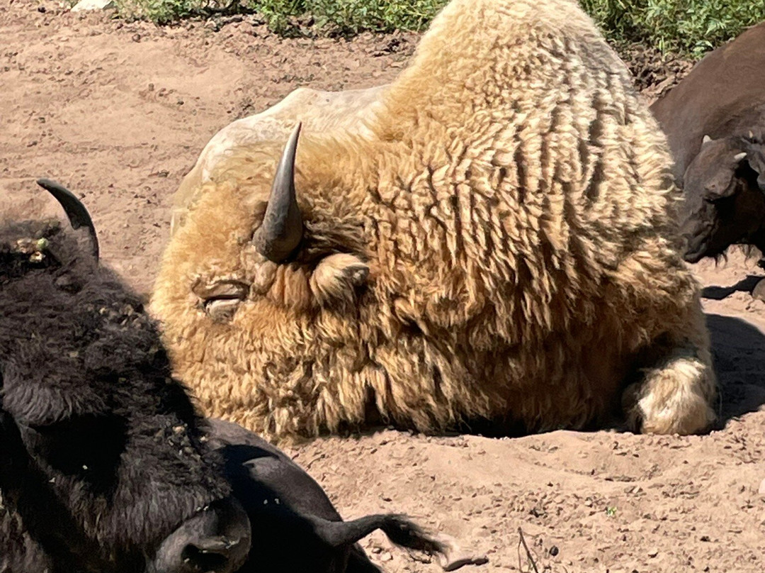Irvine Park-奇珀瓦福尔斯必去景点