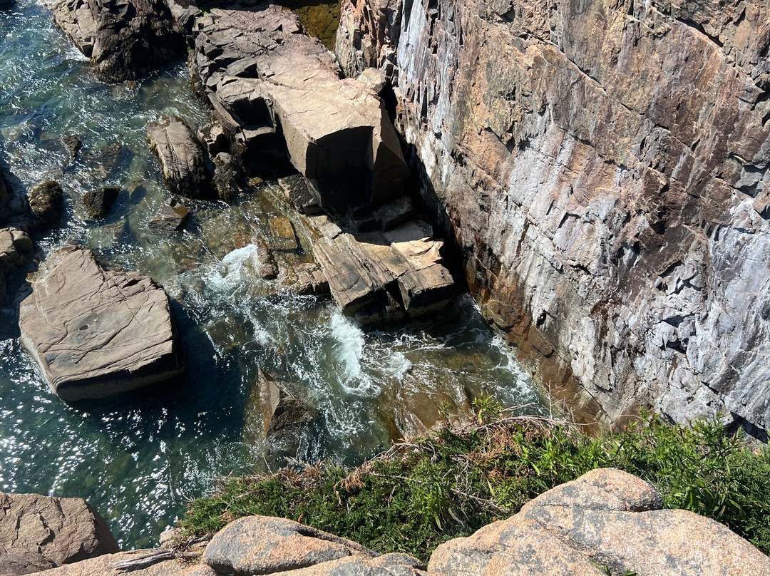 Ocean Path-阿卡迪亚国家公园必去景点