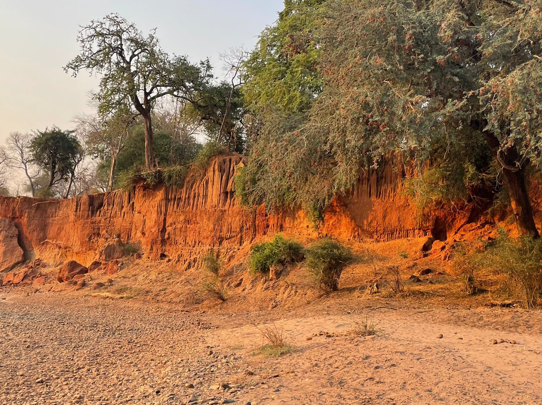 J&l Private Safaris-Chirundu必去景点