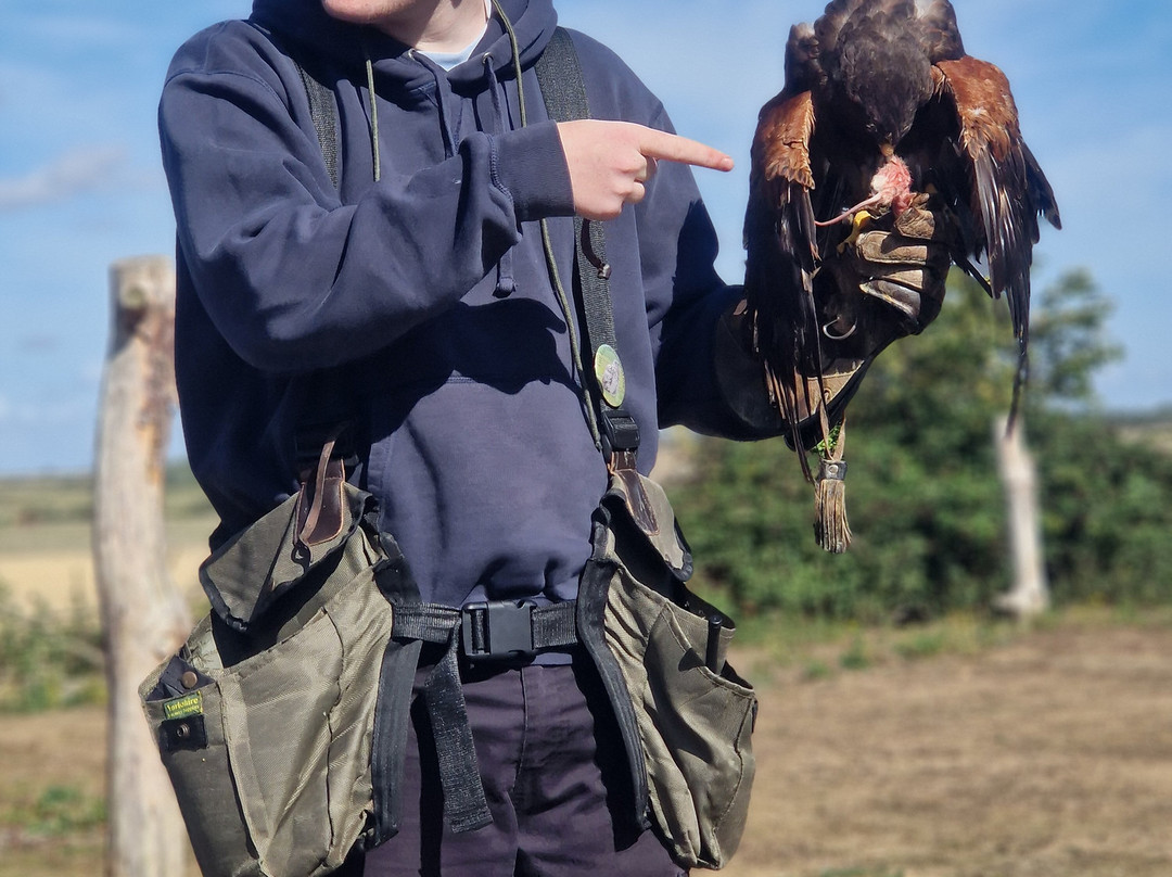 Raptor Foundation-Woodhurst必去景点