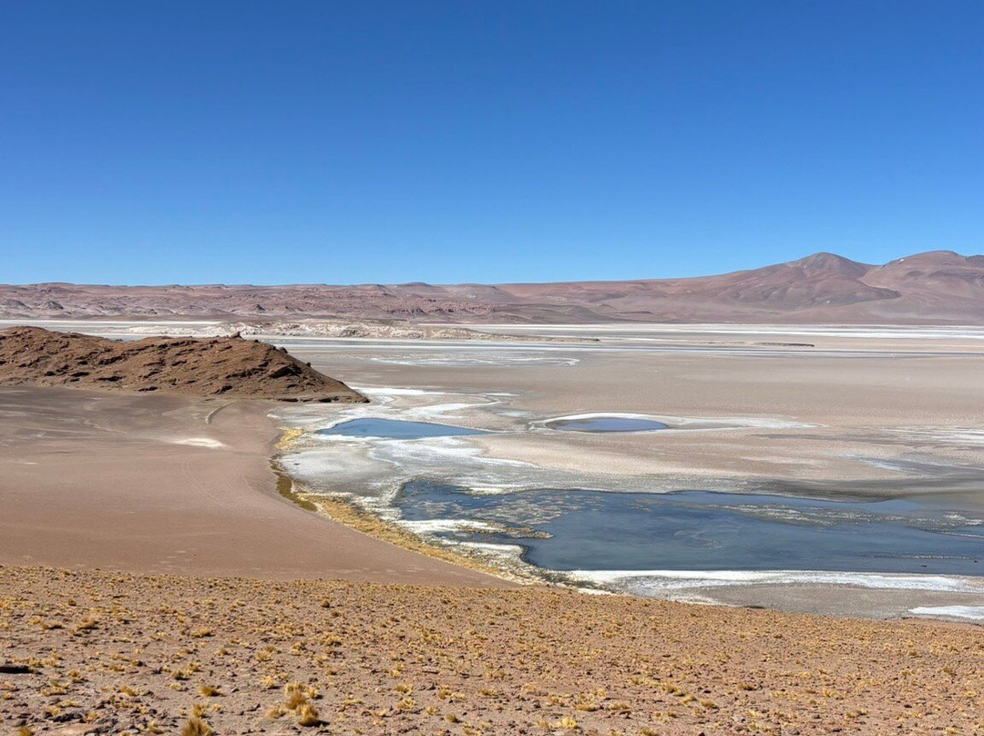 Salar de Tara-圣佩德罗-德阿塔卡马必去景点