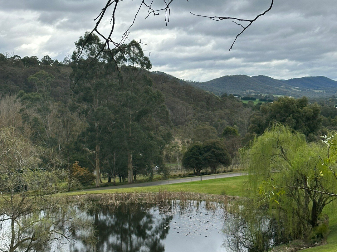 Tarrawarra Estate-亚拉格林必去景点