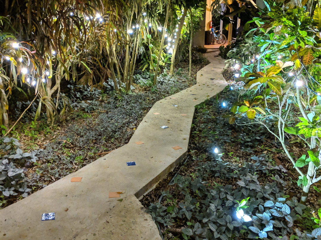 Bluff Beach Retreat主图