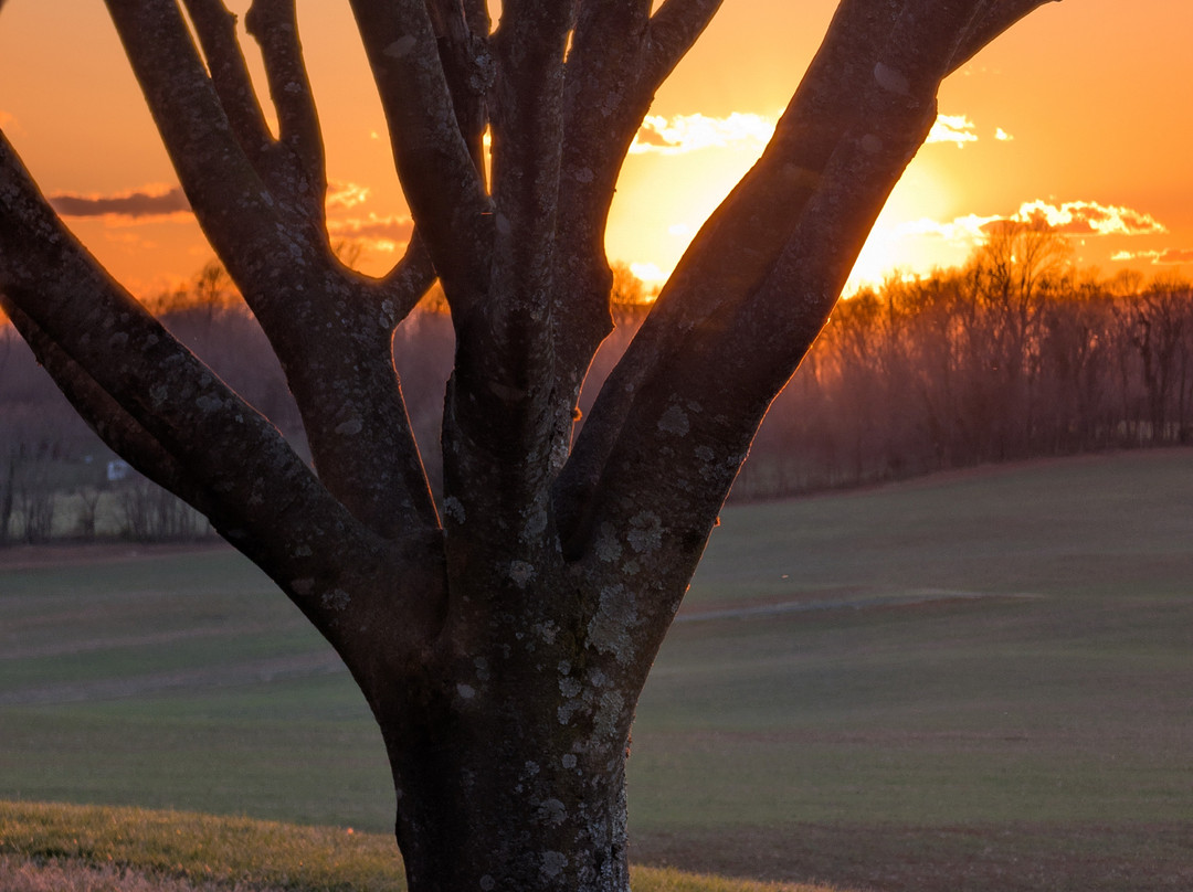 Round Hill Inn主图