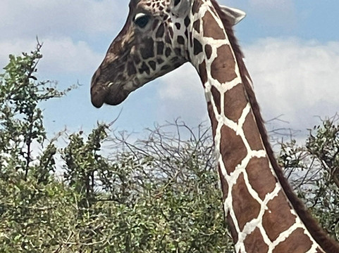 Sunworld Safaris-内罗毕必去景点