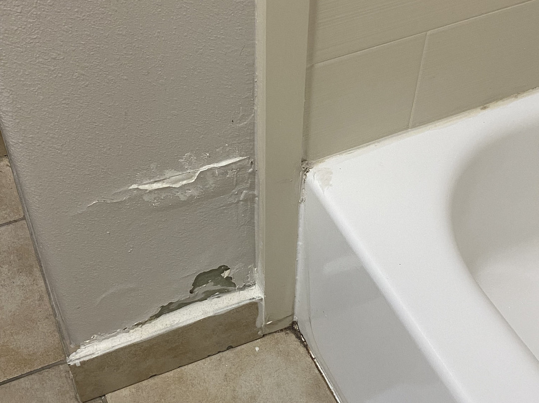 Holiday Inn Express & Suites Beeville by IHG主图