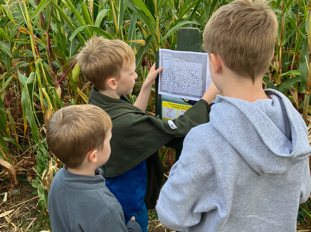 Wistow Maze-Wistow必去景点