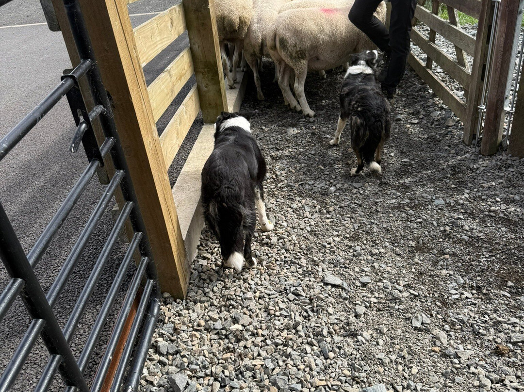 Glenshane Country Farm-Maghera必去景点