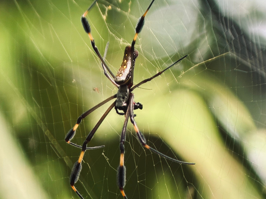 Rancho Tropical-希门尼斯港必去景点