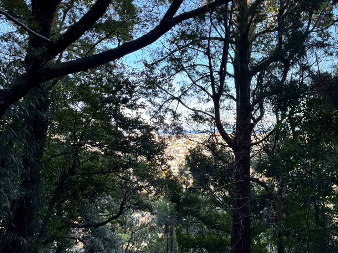 Kamikura Shrine-新宫市必去景点