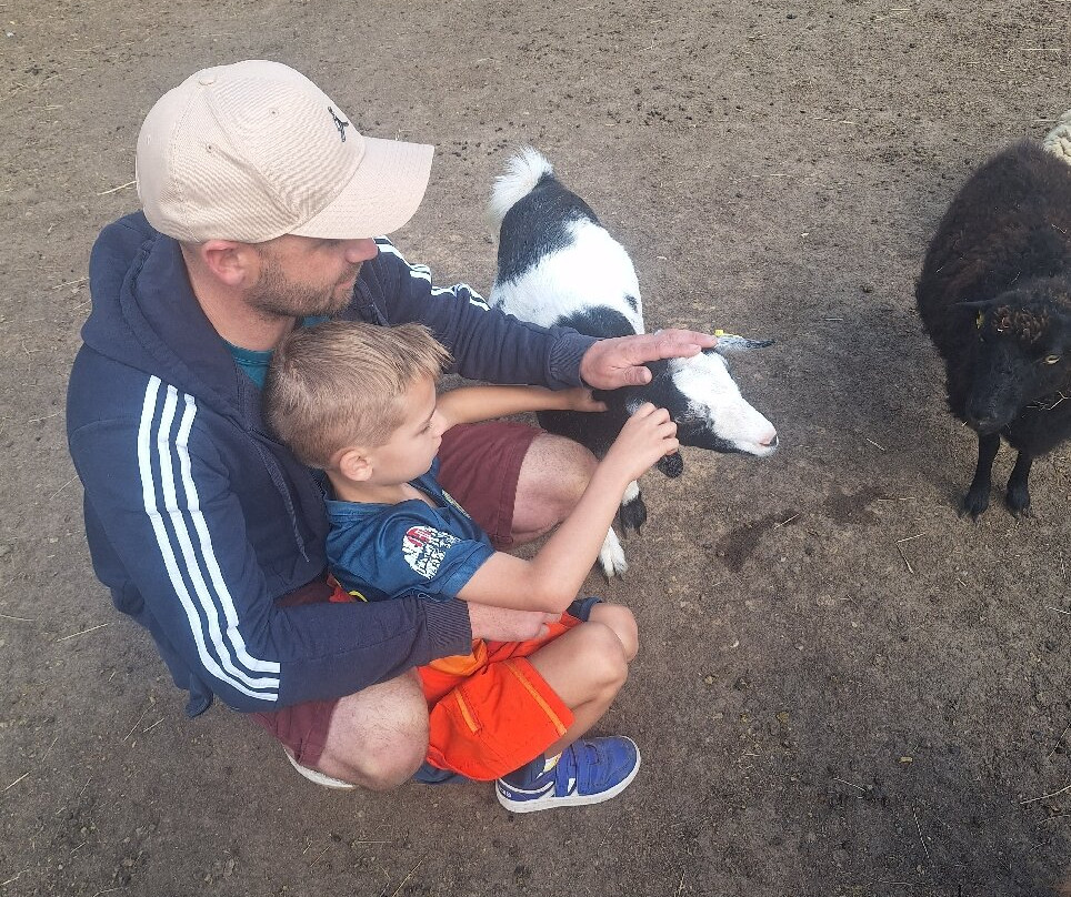 Stantons Farm - Petting Farm-Black Notley必去景点
