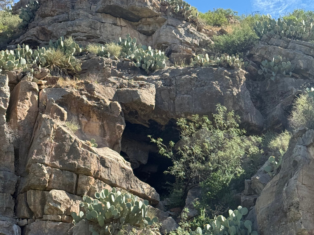Ted Turner Reserves - Ladder Ranch-Caballo必去景点